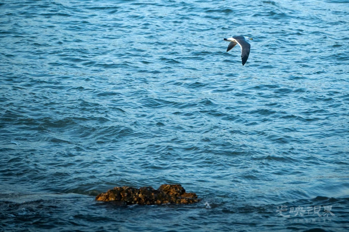 DSC_5212.JPG