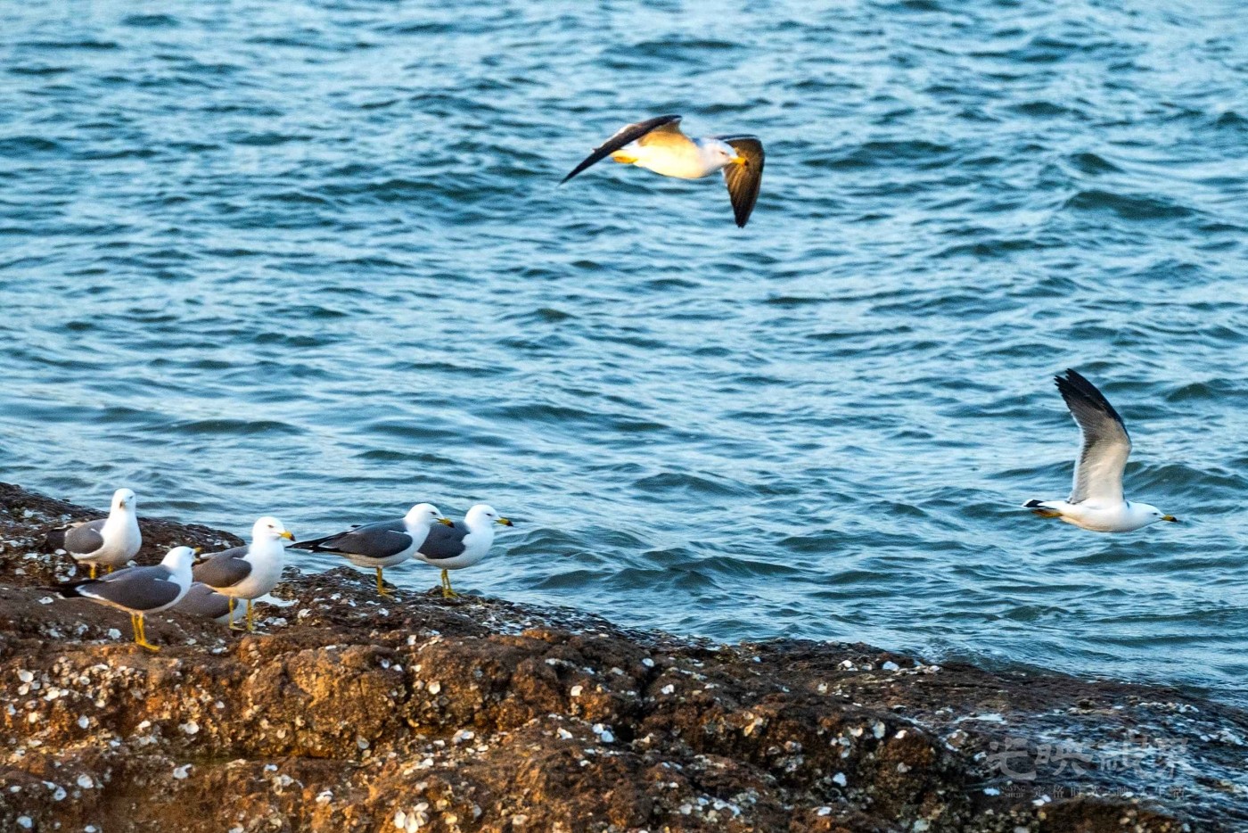 DSC_5215.JPG