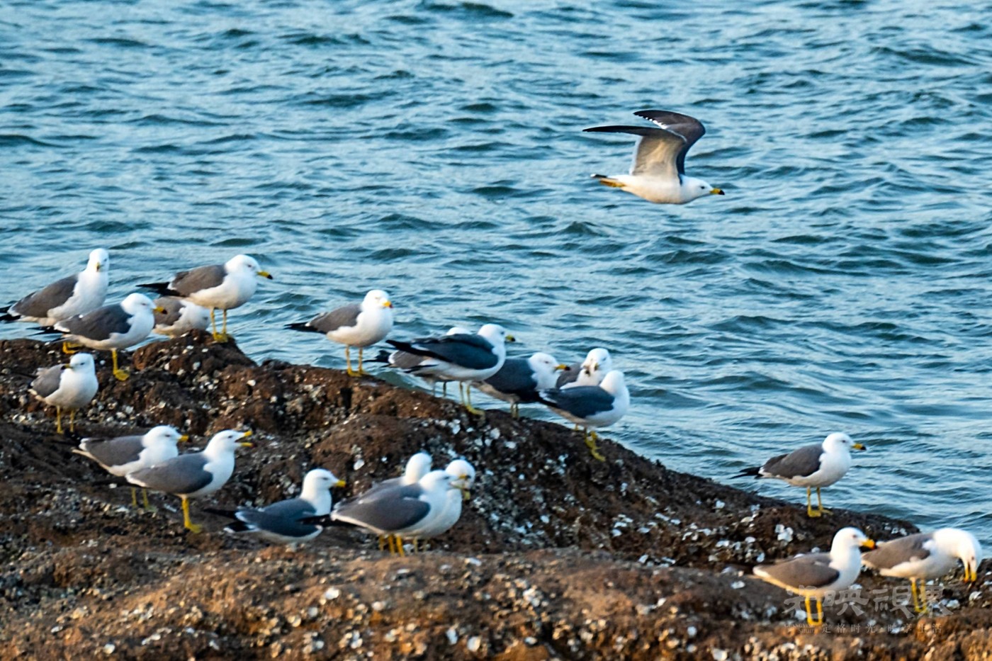 DSC_5216.JPG