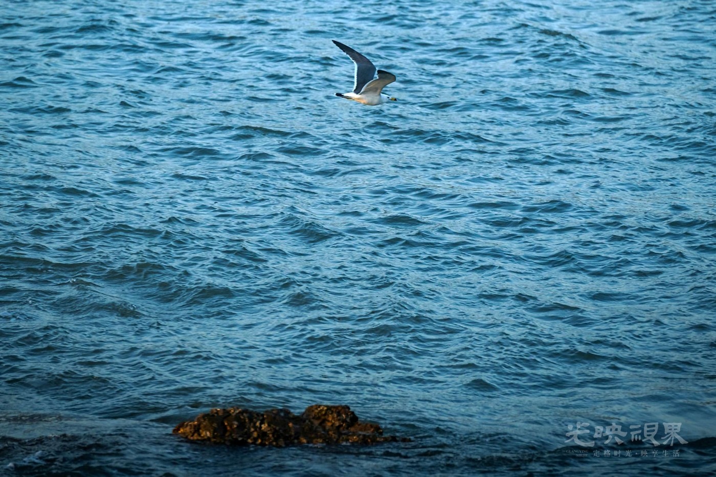 DSC_5219.JPG