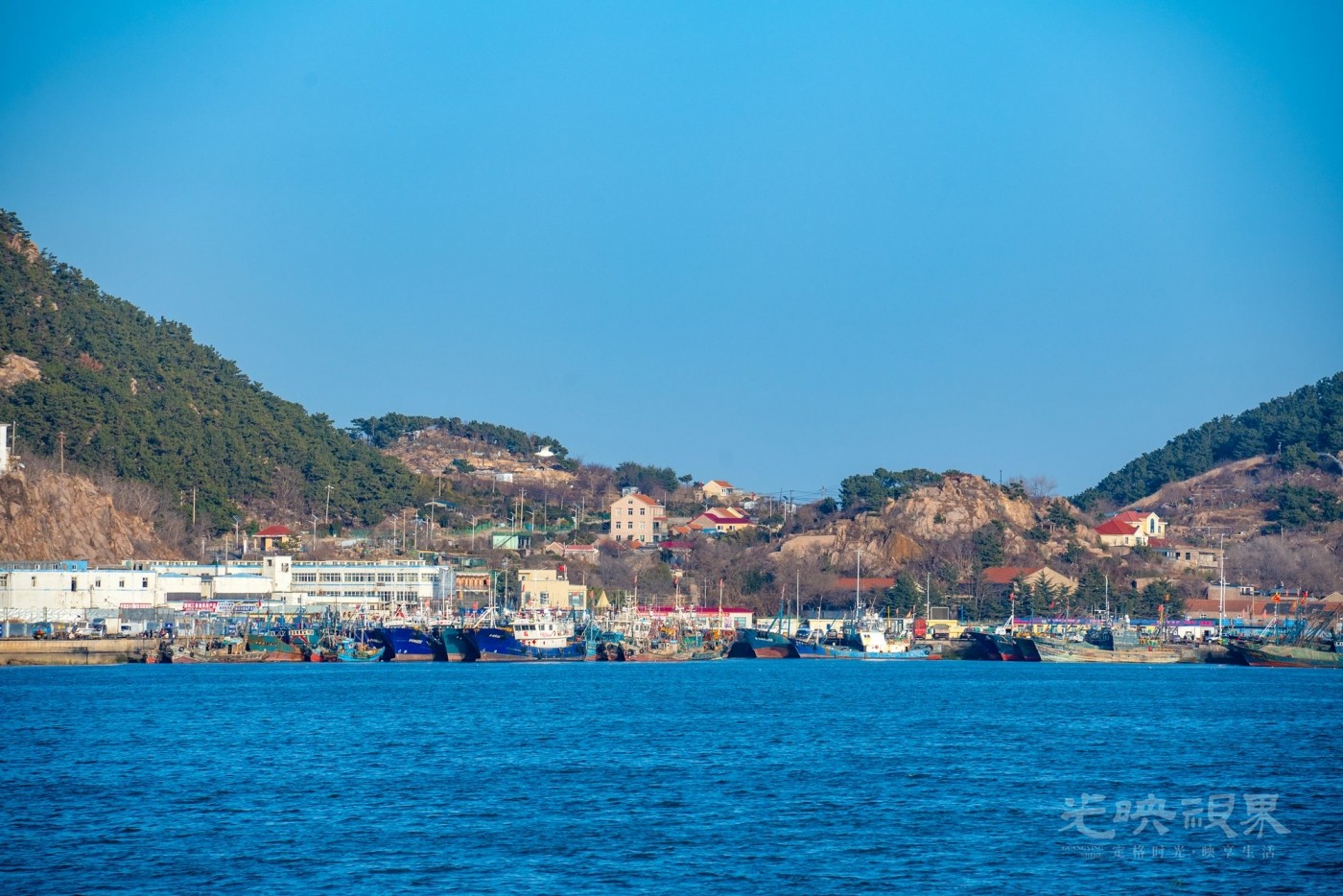 DSC_5135.JPG