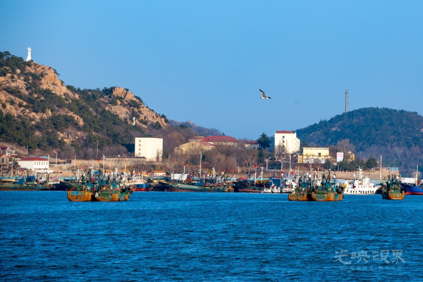 DSC_5142.JPG