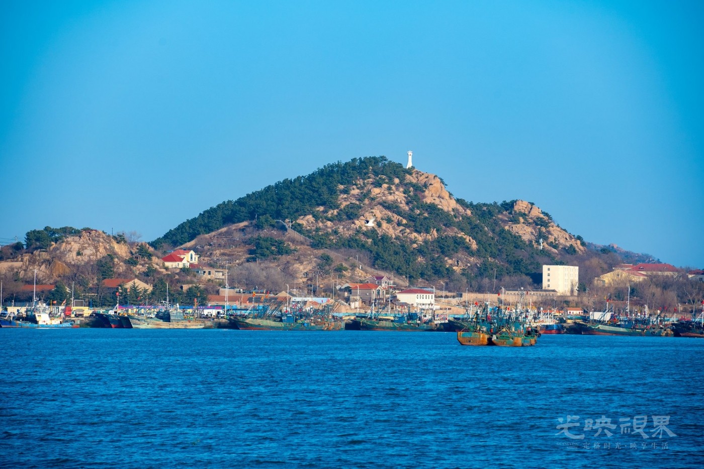 DSC_5138.JPG