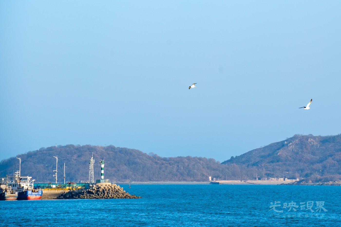 DSC_5147.JPG
