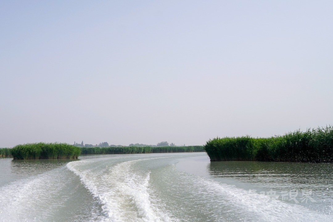 mmexport1783169466910.jpg