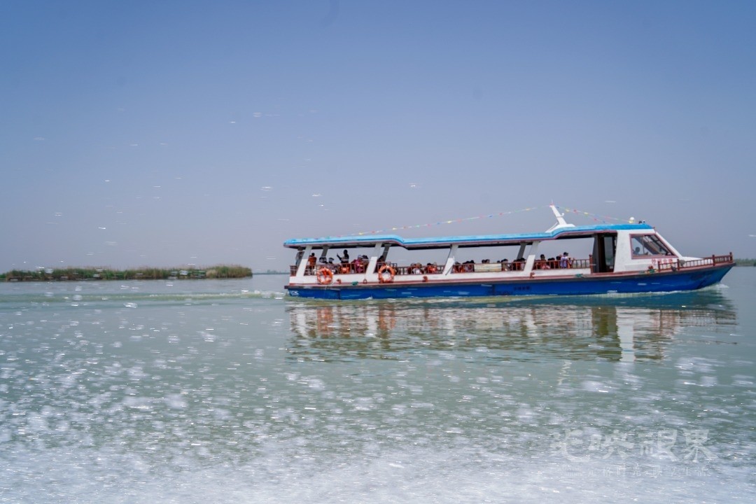 mmexport1783169511675.jpg