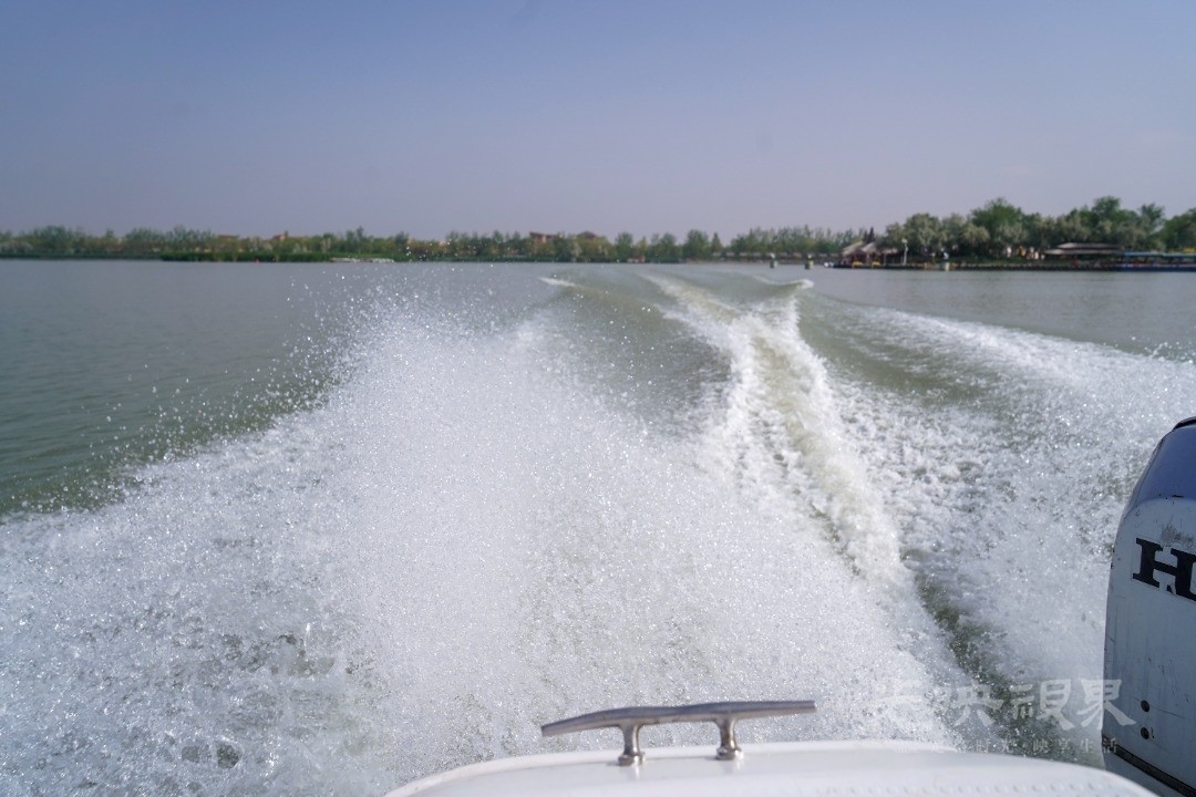 mmexport1783169455666.jpg