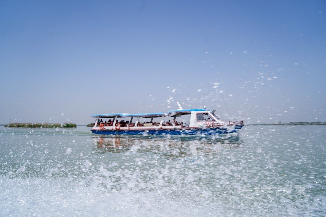 mmexport1783169550807.jpg