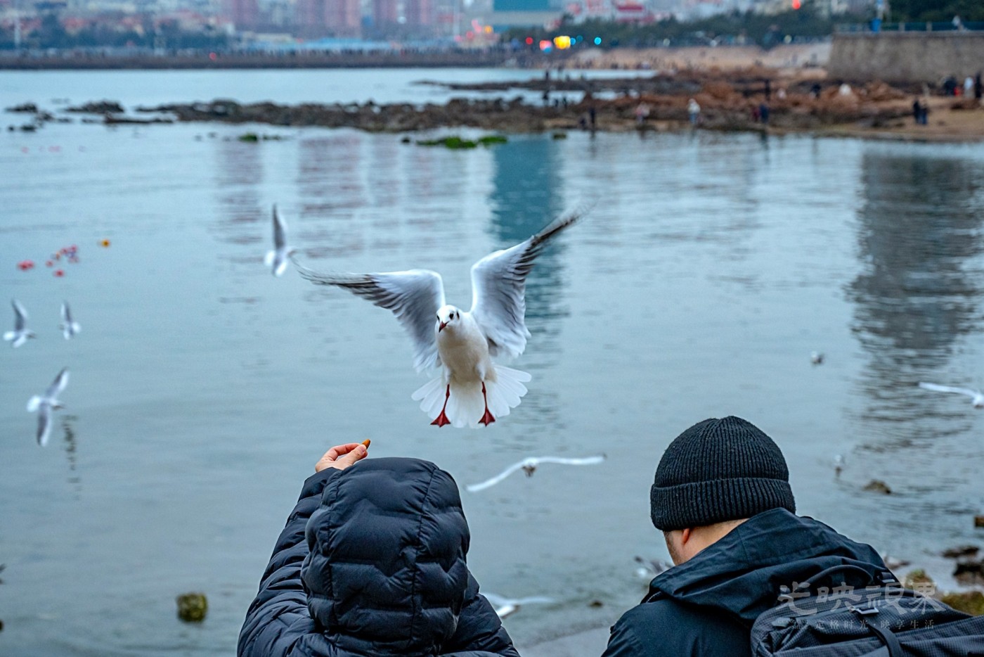 DSC_5749.JPG