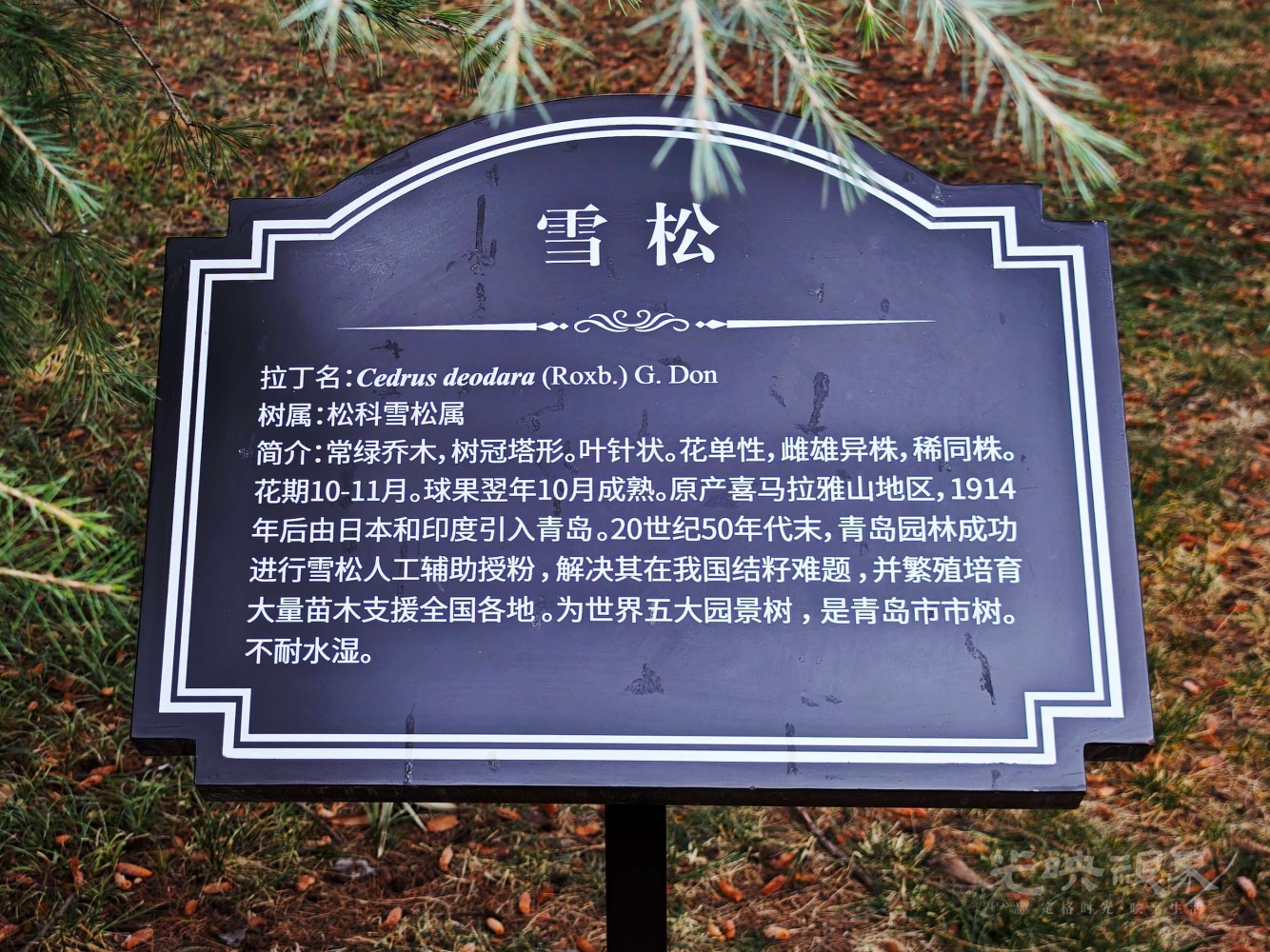 IMG_20260226_153621.jpg