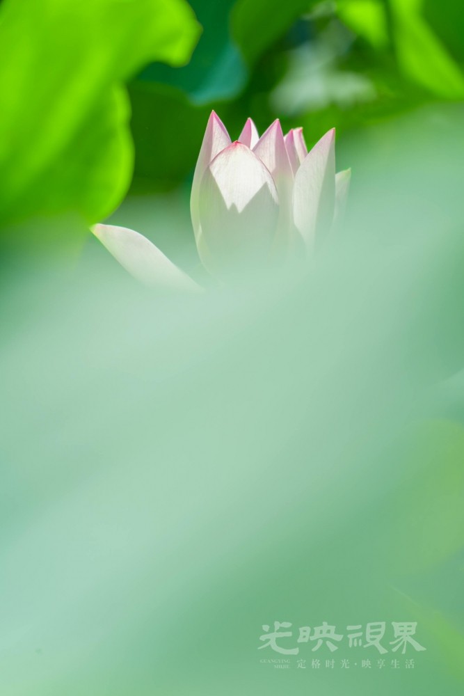 DXA00906.jpg