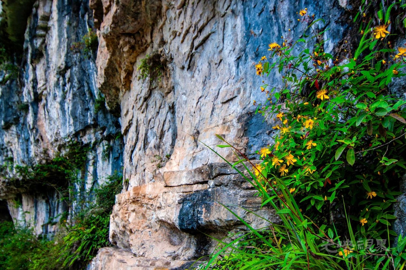 _DSC3698.JPG