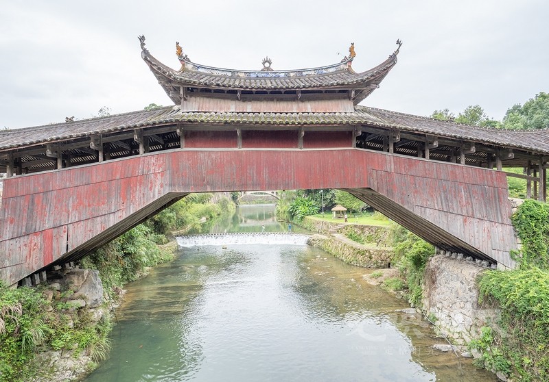 P1078679.jpg