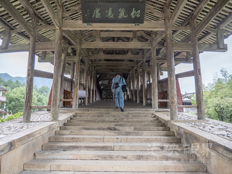 P1078687.jpg