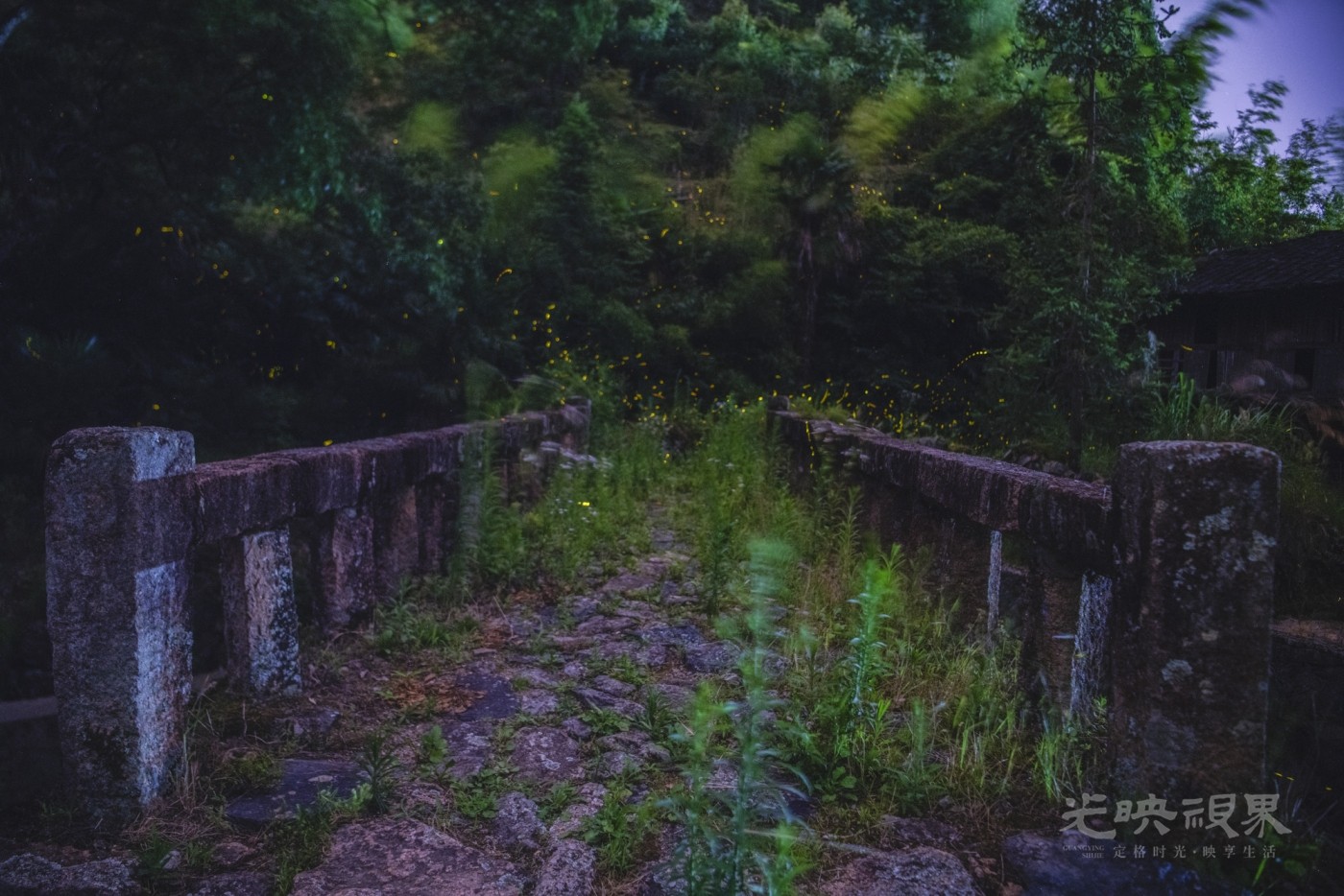 未标题-10_1.JPG