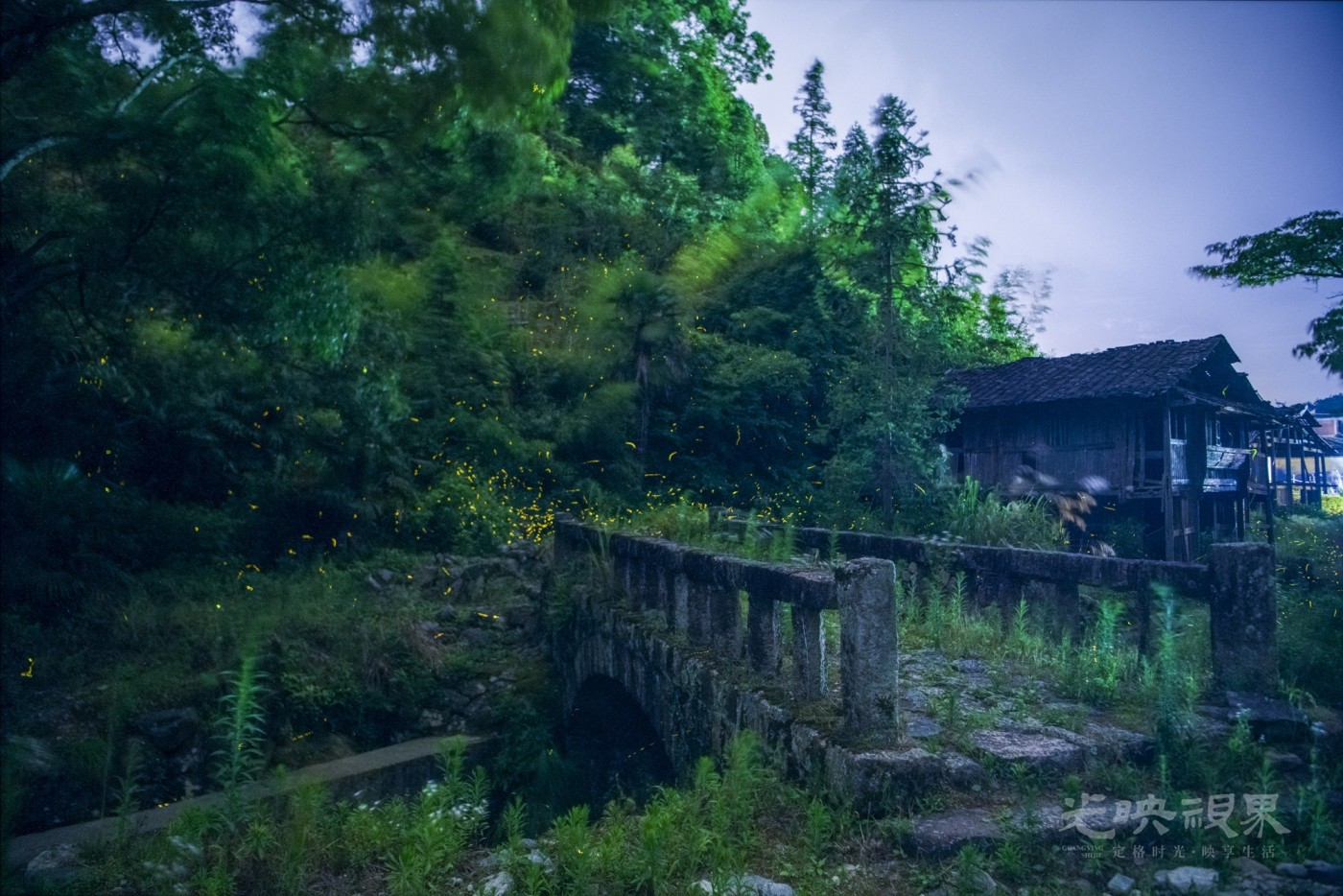 未标题-100_1.JPG