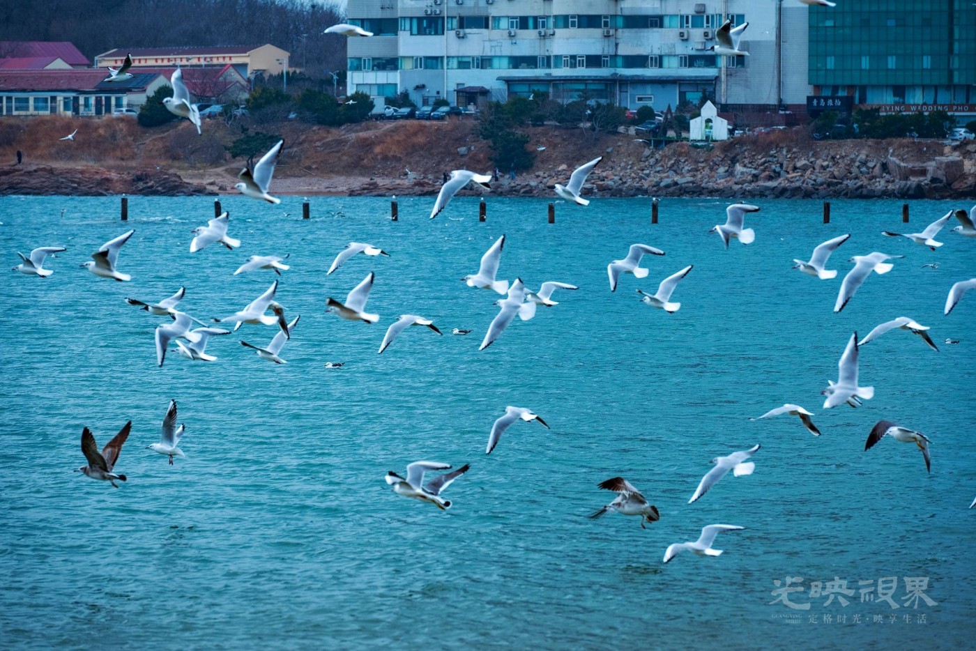 DSC_5489.JPG