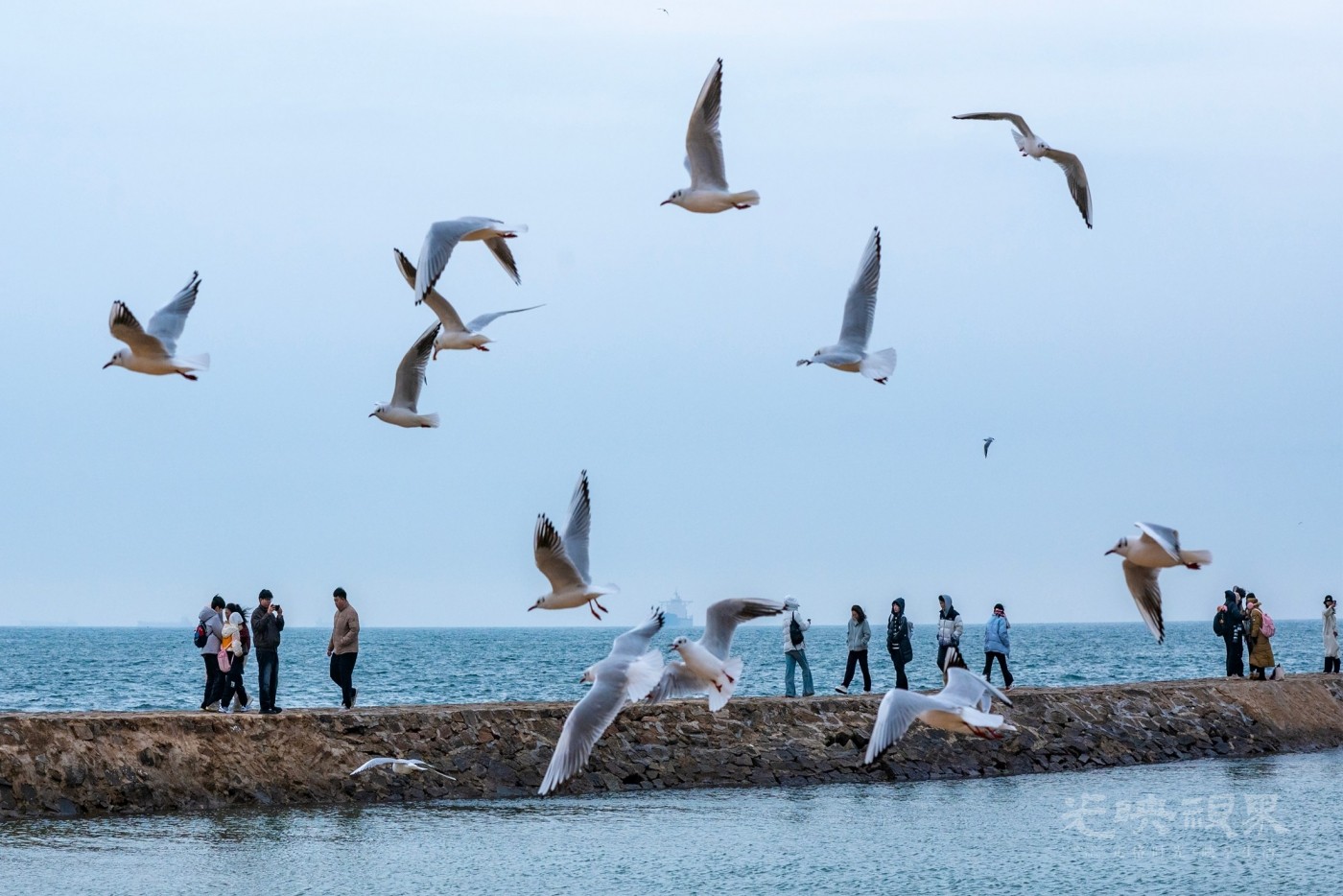 DSC_5673.JPG