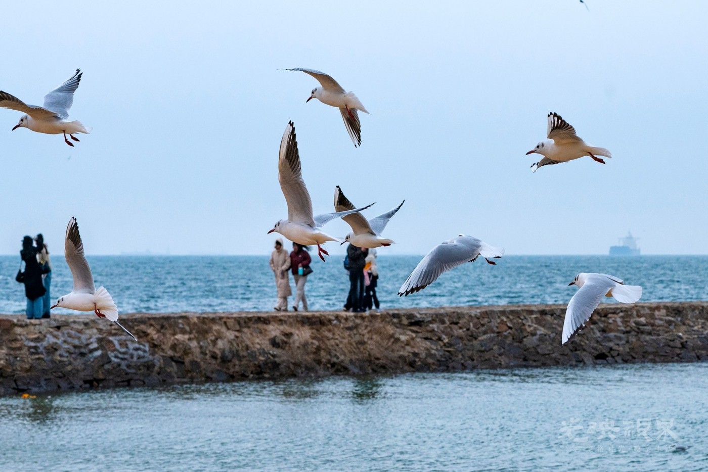 DSC_5676.JPG