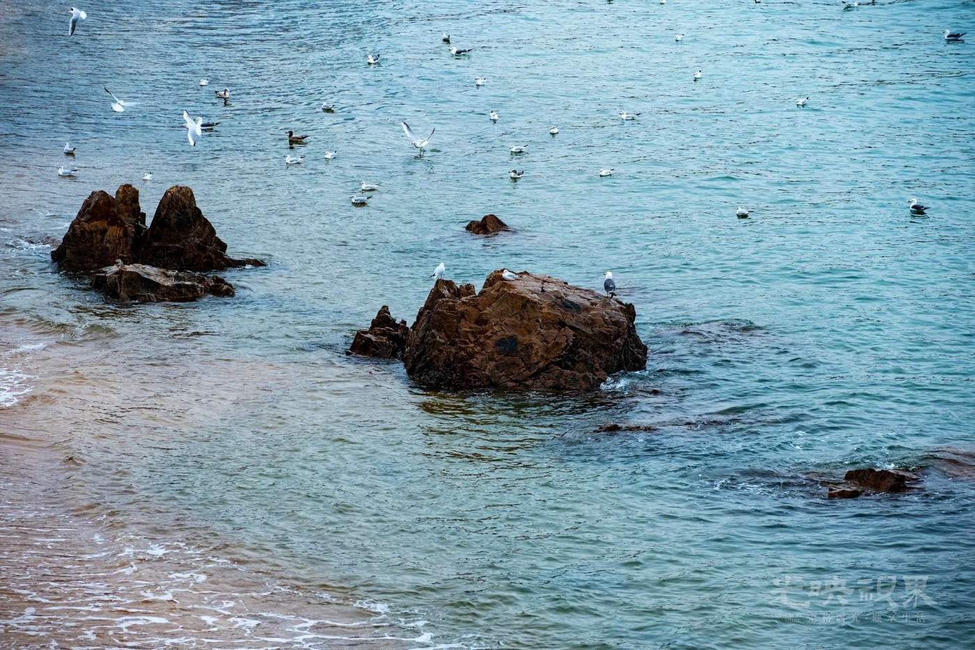DSC_5376.JPG
