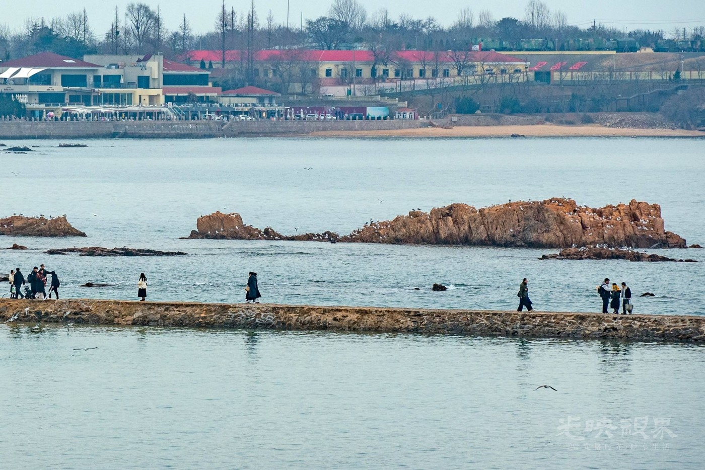DSC_5385.JPG