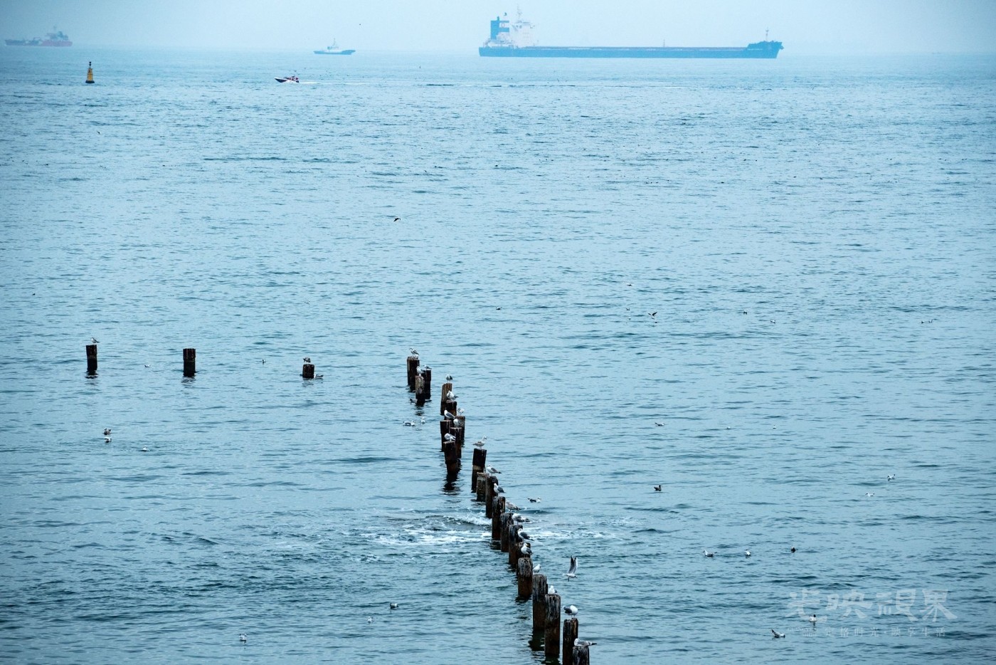DSC_5402.JPG