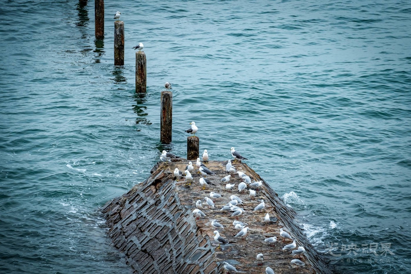 DSC_5401.JPG