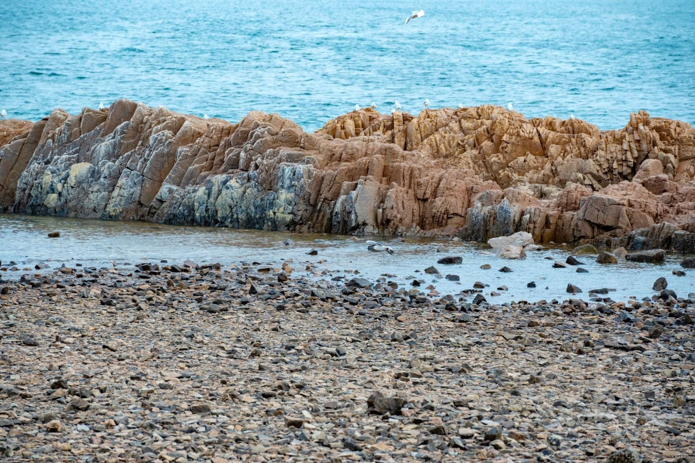 DSC_5435.JPG