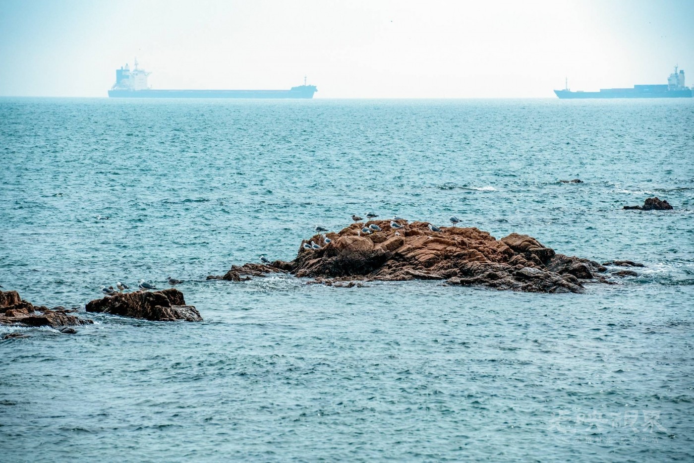 DSC_5457.JPG