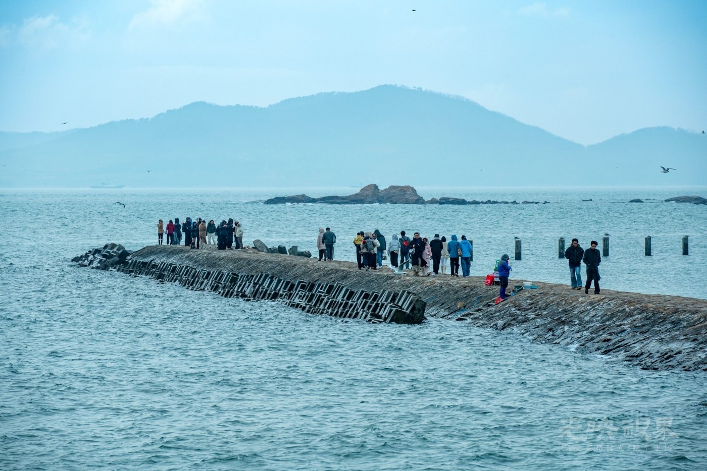 DSC_5466.JPG
