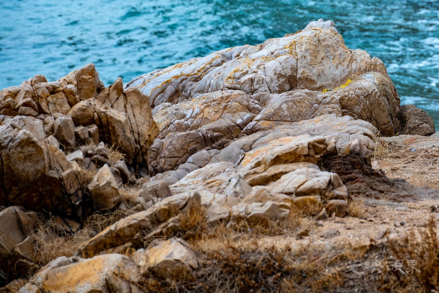DSC_5334111.JPG