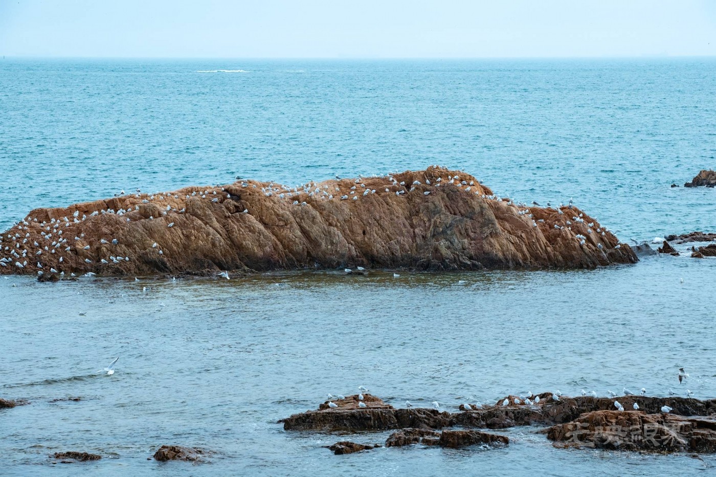 DSC_5335111.JPG