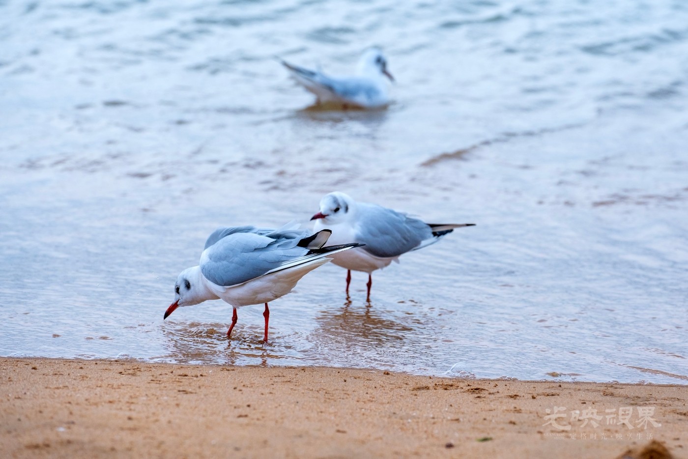 DSC_5413.JPG