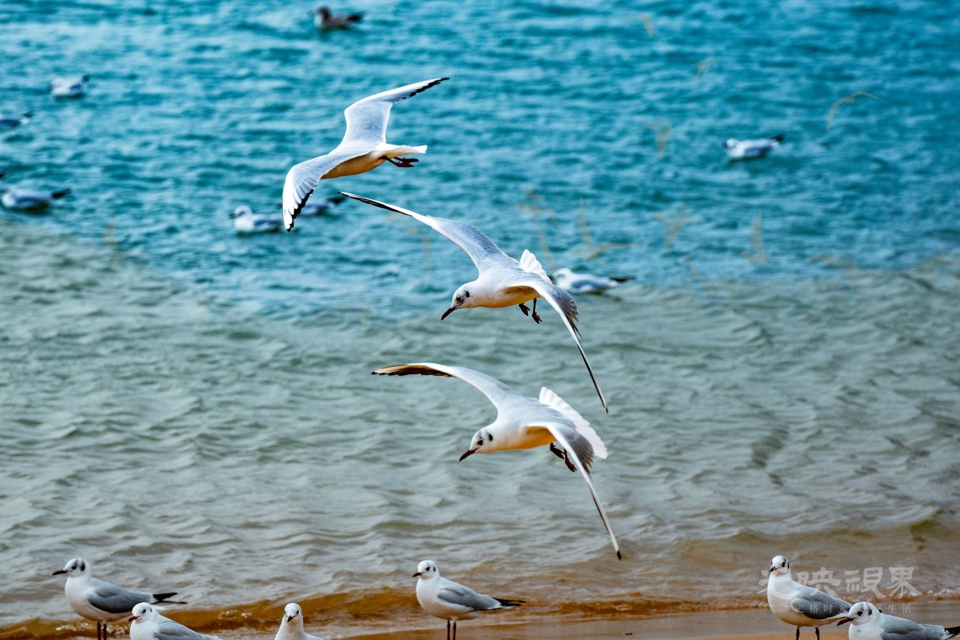 DSC_5416.JPG