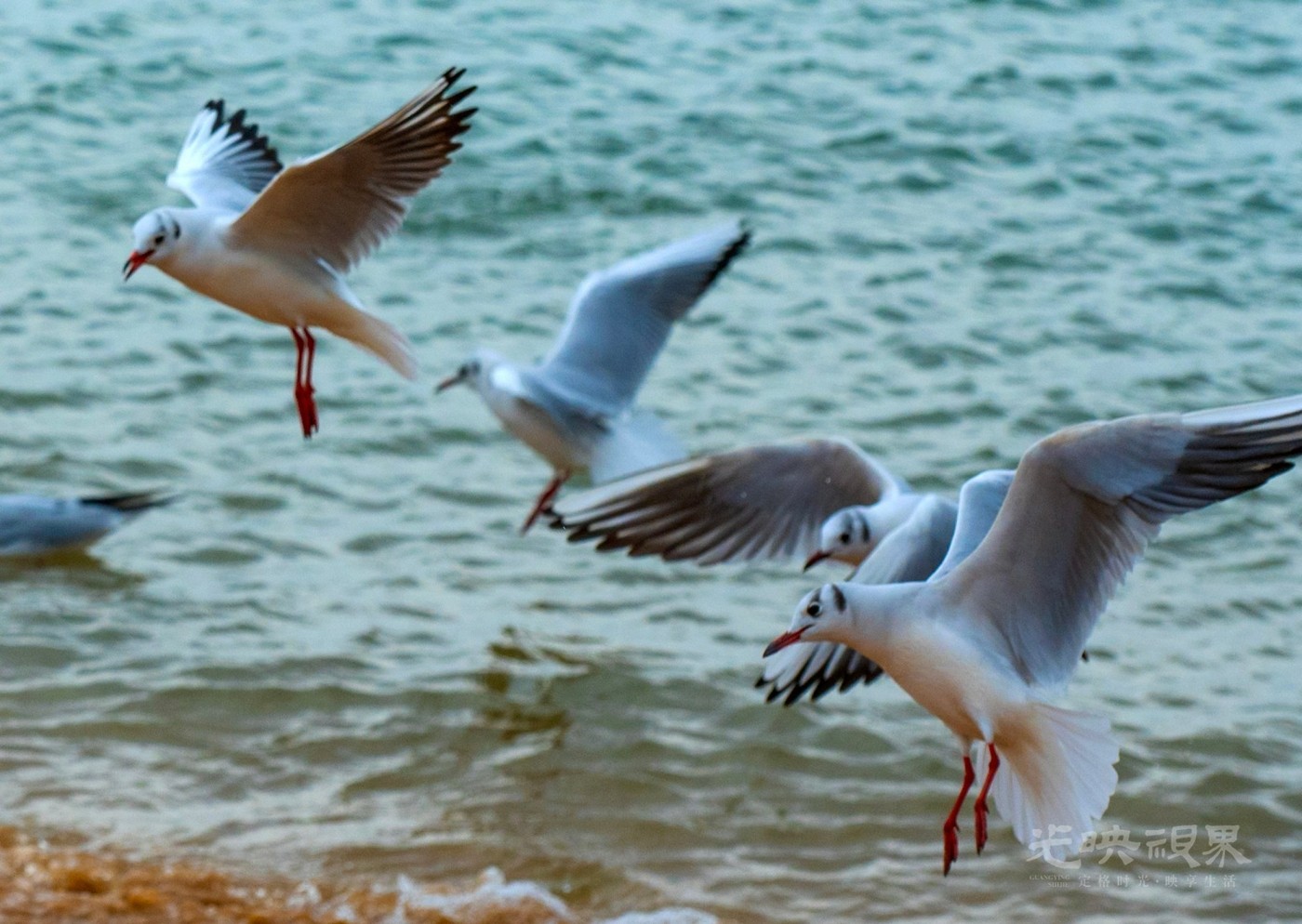 DSC_5421.JPG