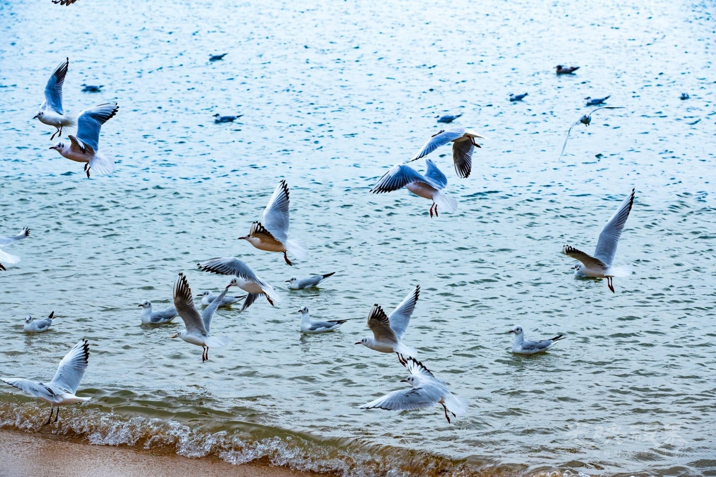 DSC_5427.JPG