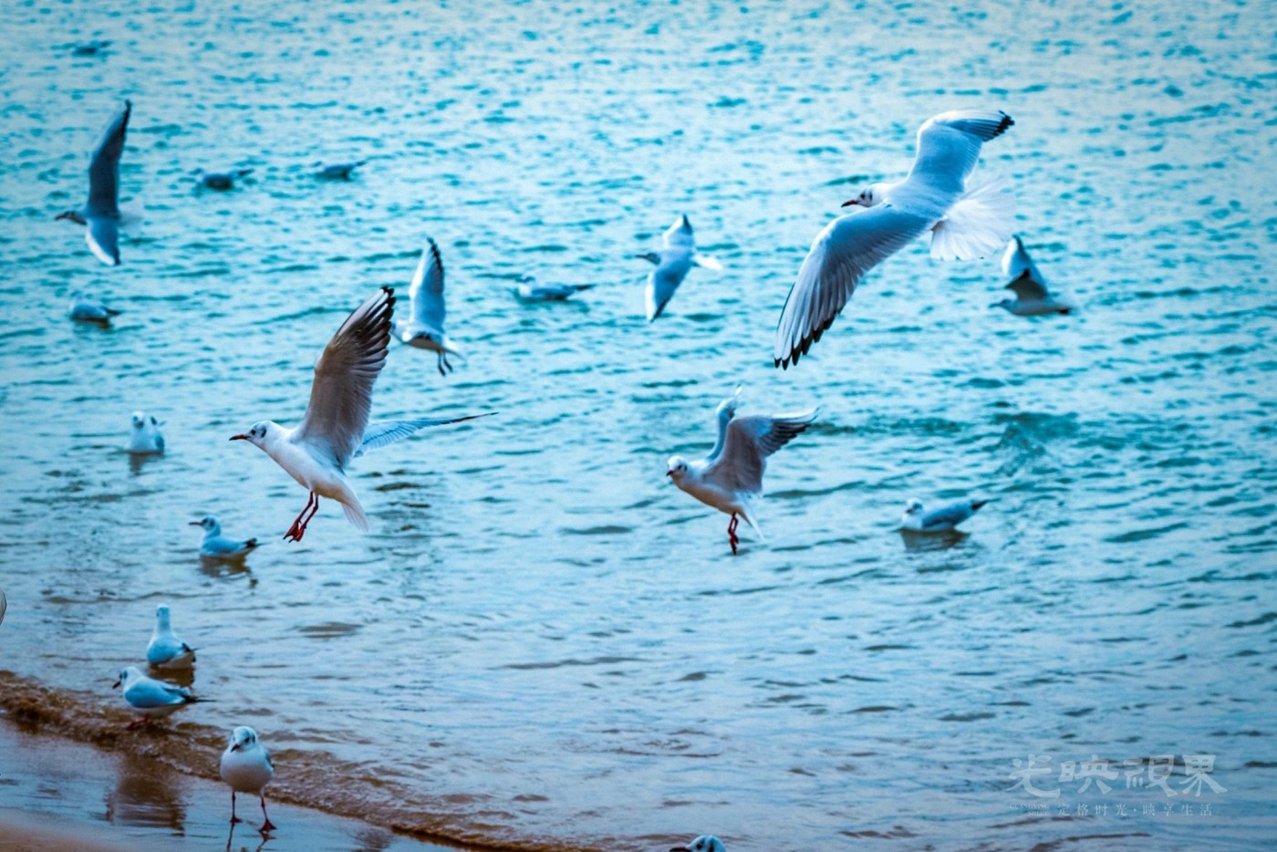 DSC_5430.JPG