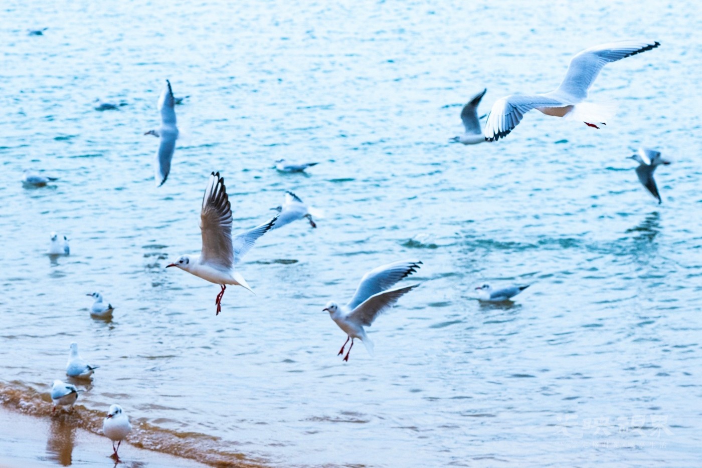 DSC_5429.JPG