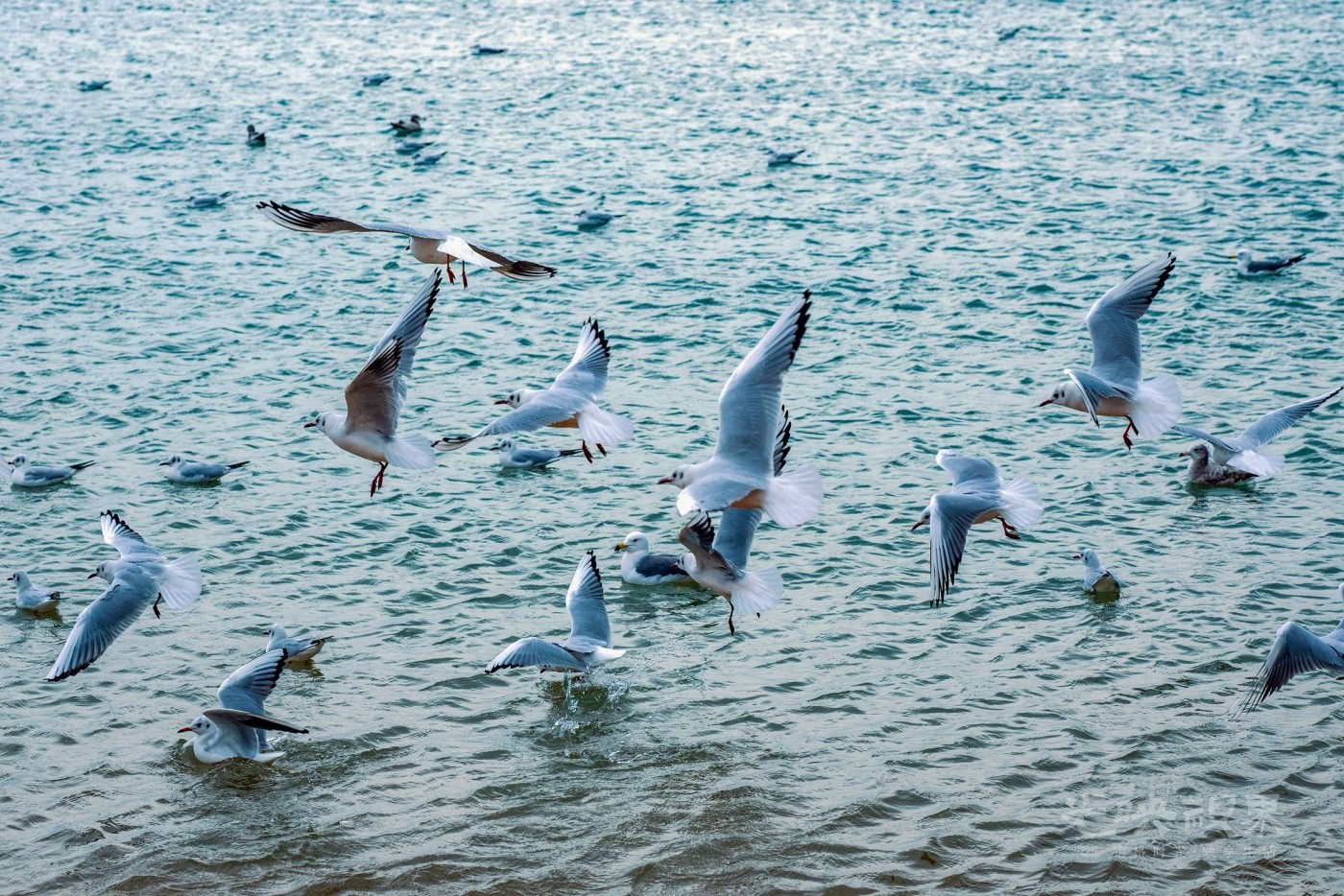 DSC_5432.JPG