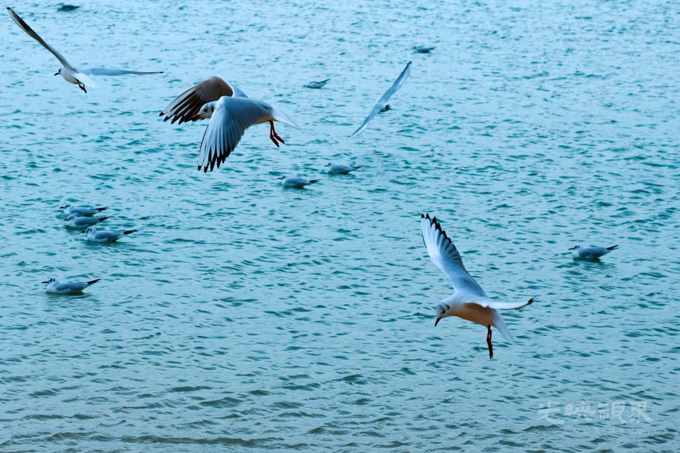 DSC_5434.JPG