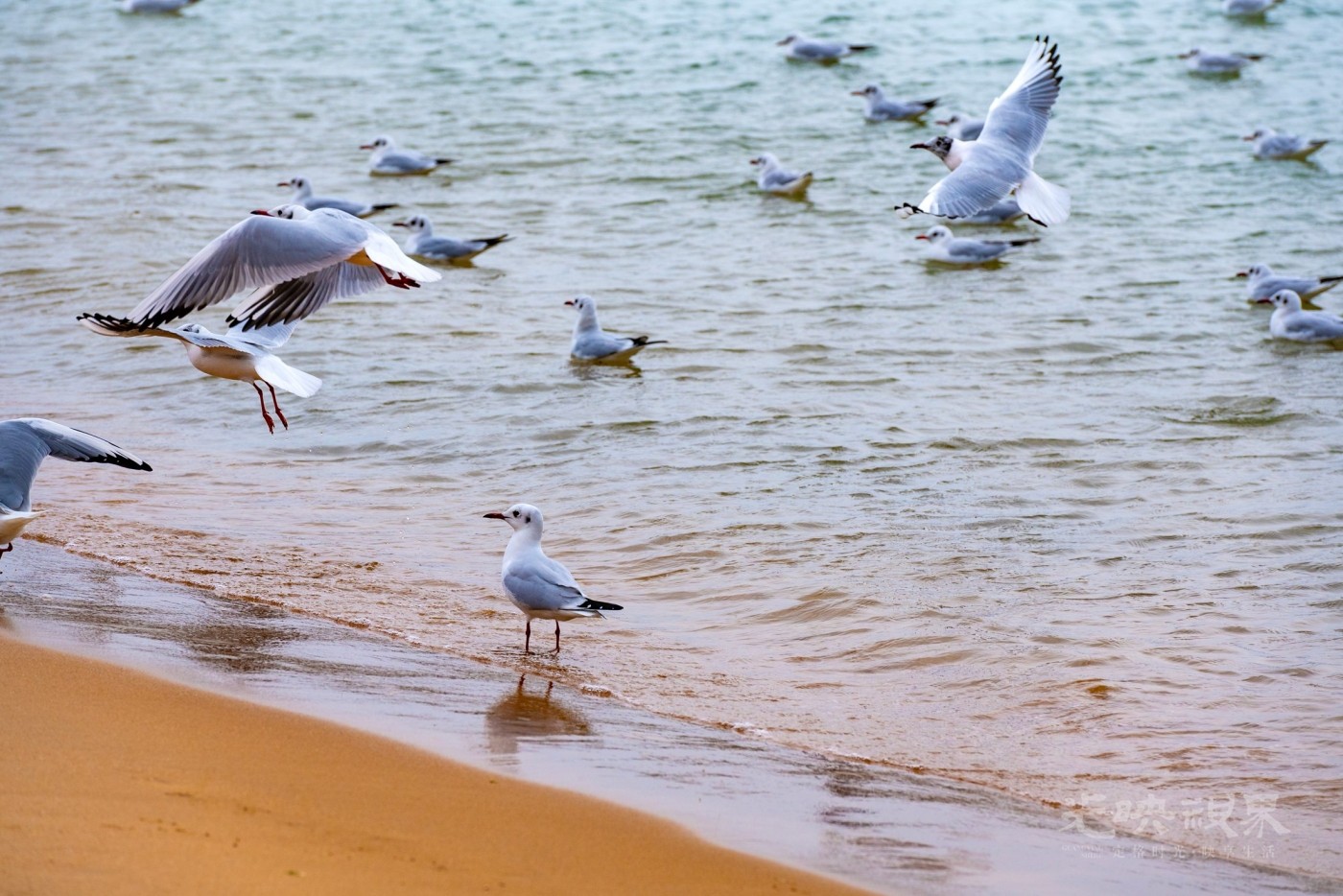 DSC_5437.JPG