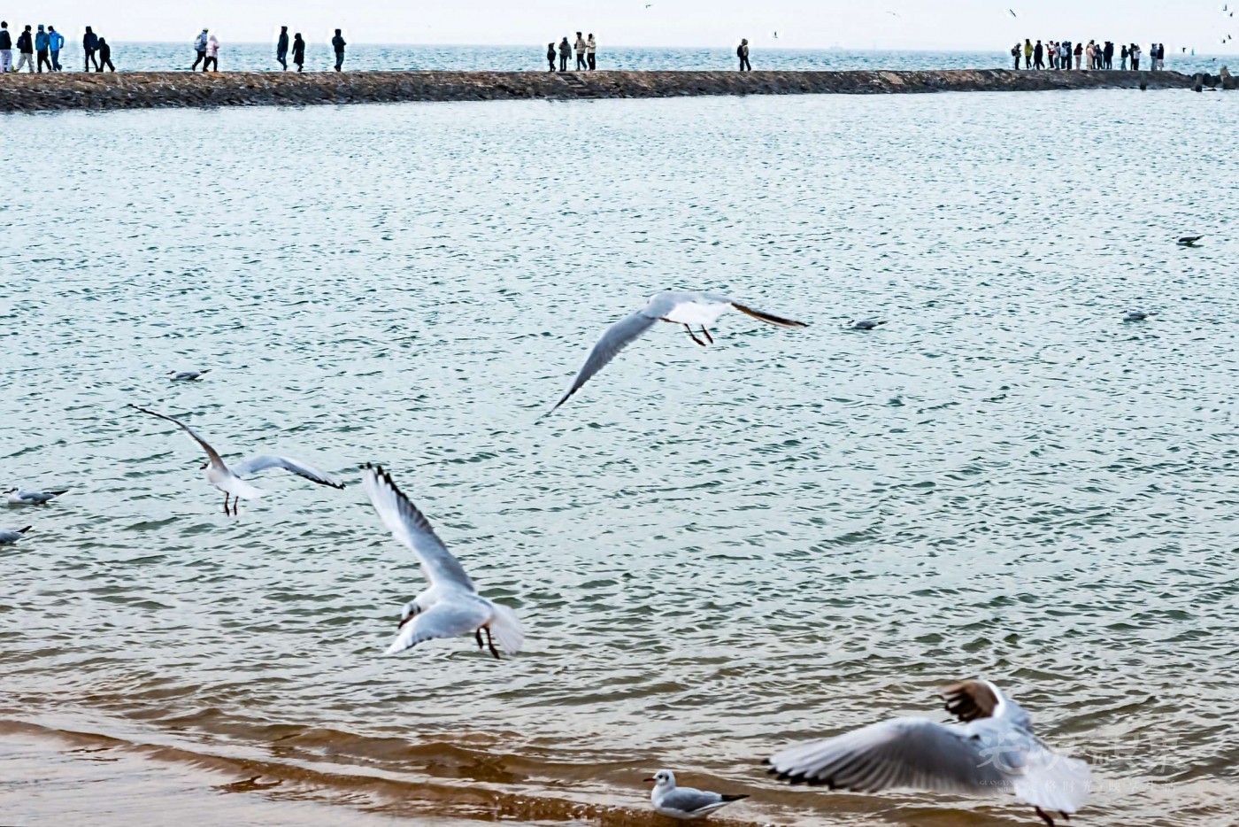 DSC_5442.JPG