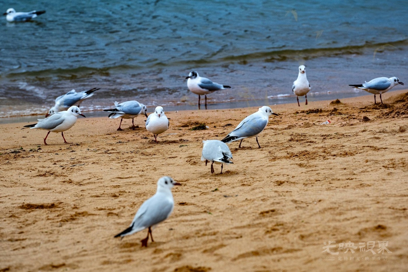 DSC_5504.JPG