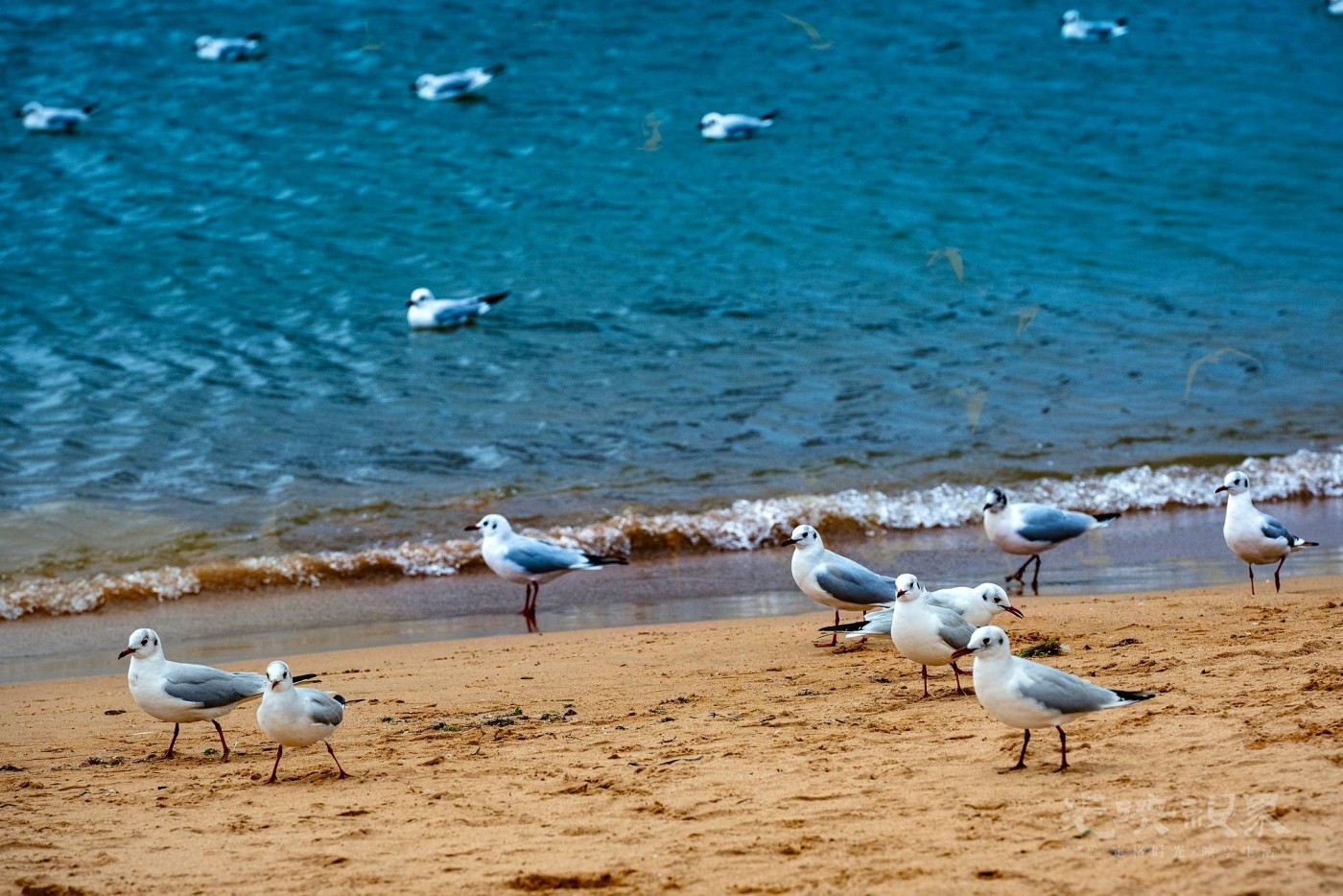 DSC_5505.JPG