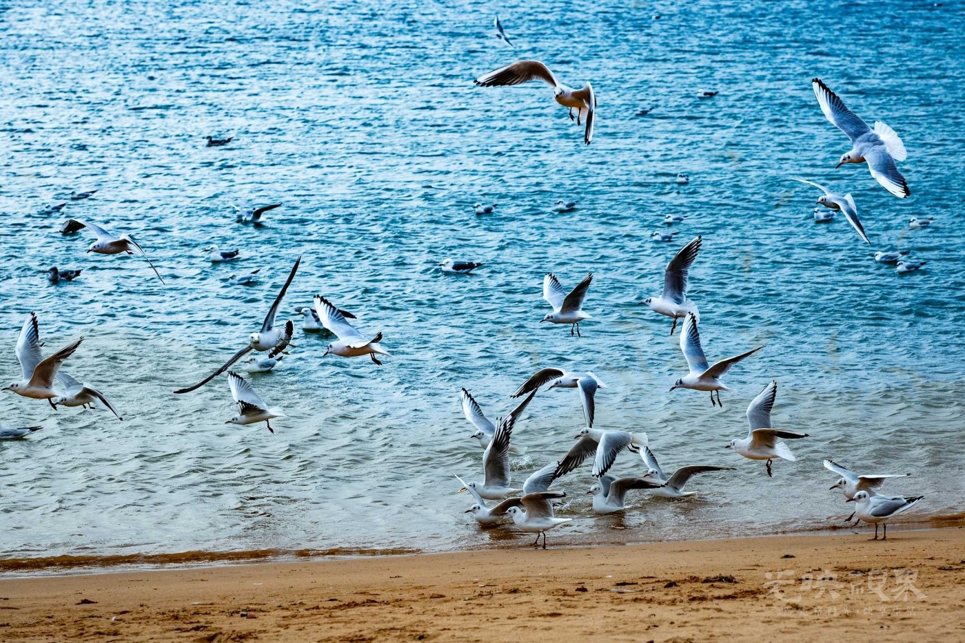 DSC_5509.JPG