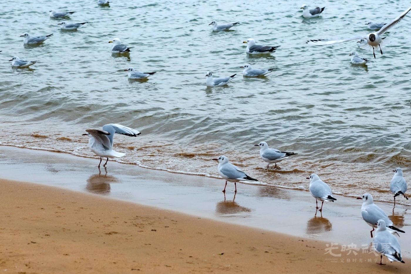DSC_5577.JPG