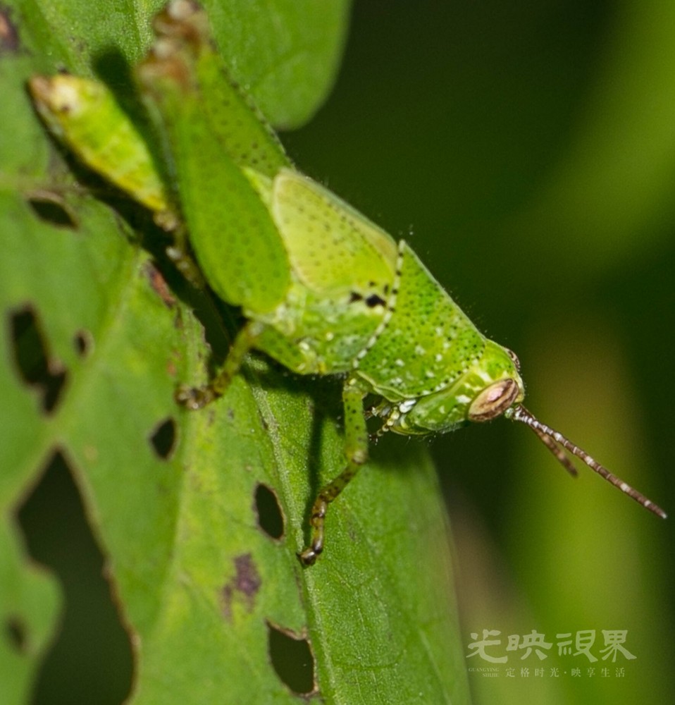 DX1_0207.jpg