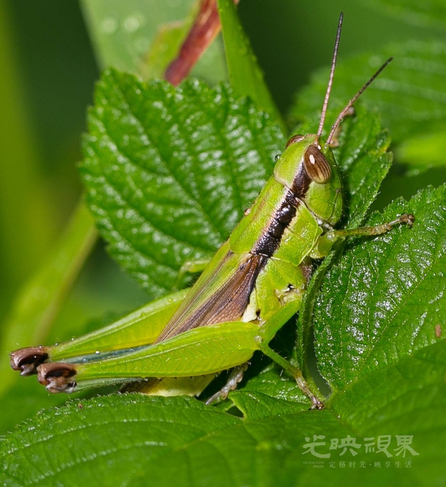 DX1_0214.jpg