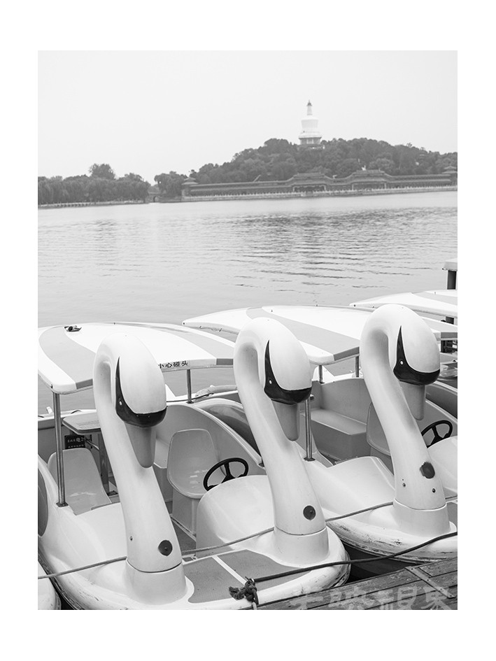 _1024545.jpg