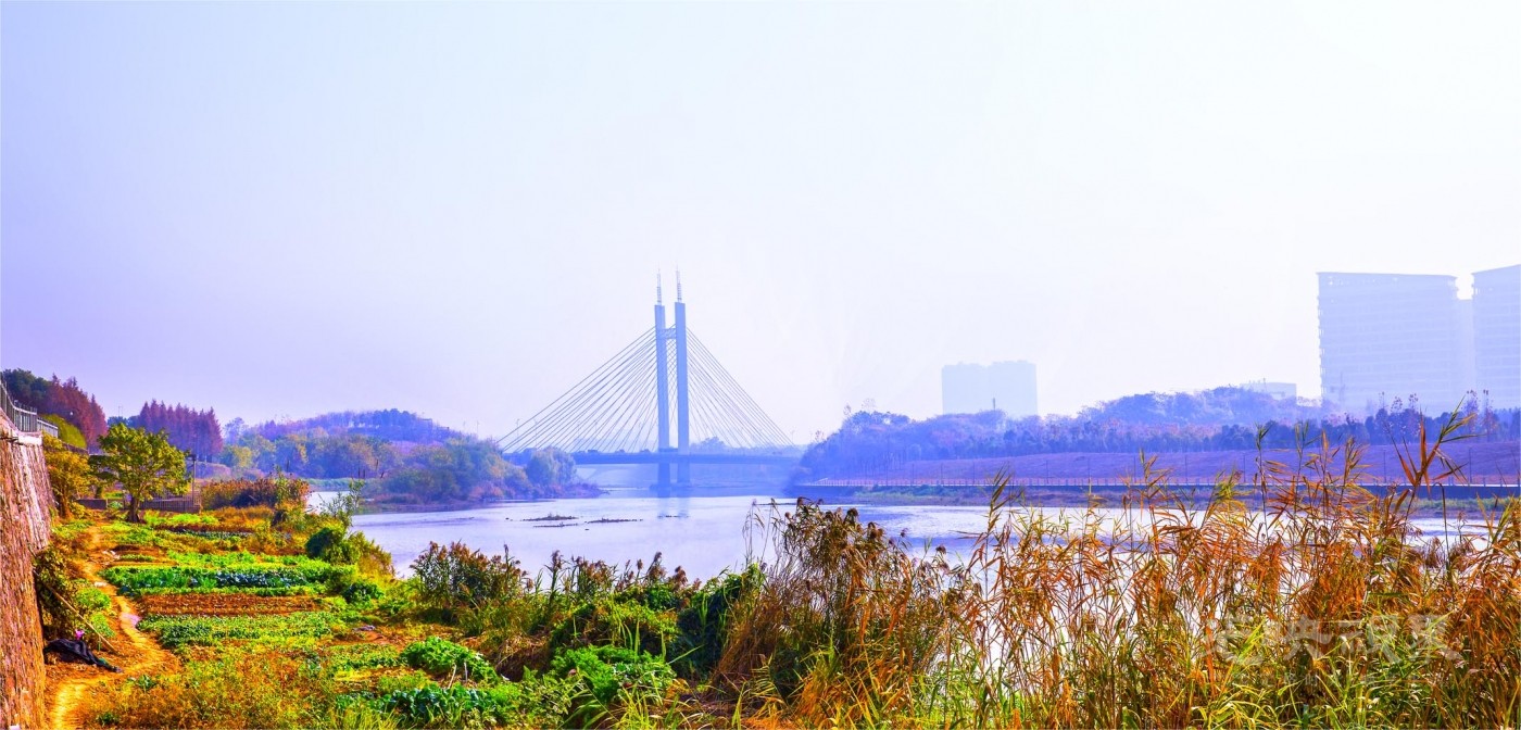 20191212浙江义乌017.jpg